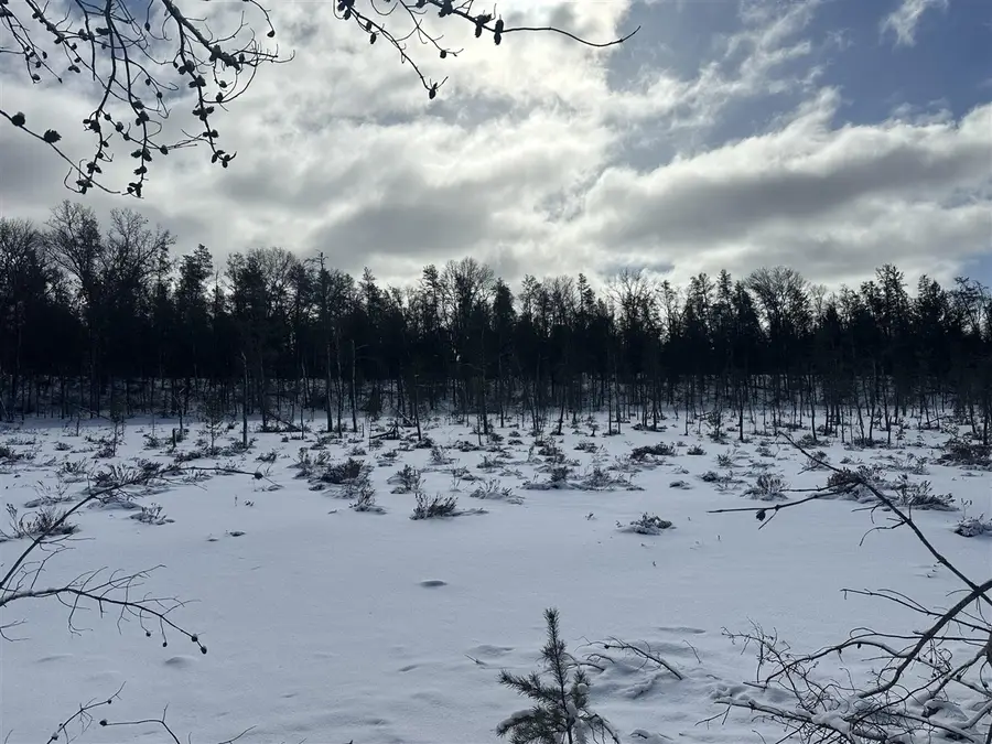 7251 S Clay Banks, Baldwin, MI 49304 - #2