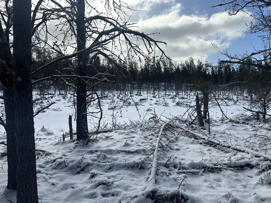 7251 S Clay Banks, Baldwin, MI 49304 - #3