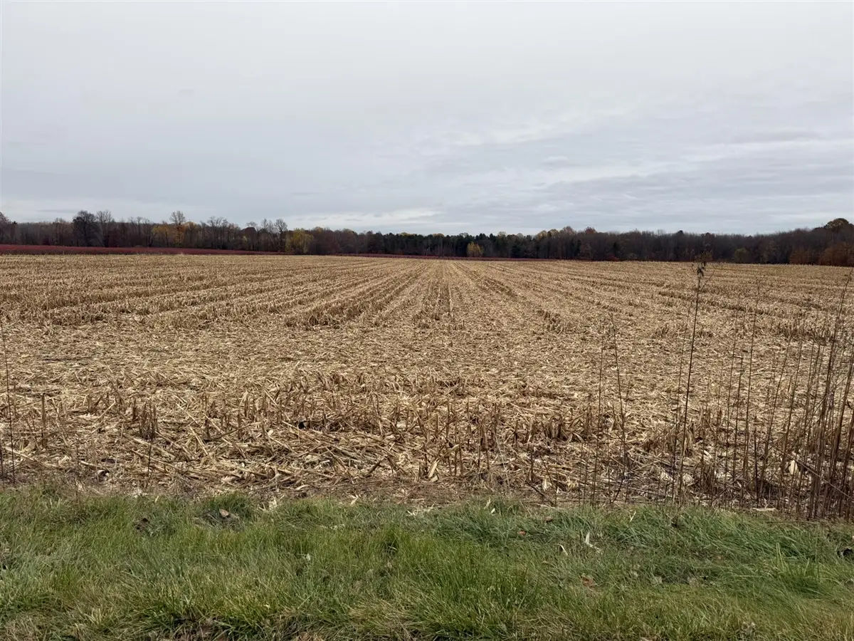 VL 2ac. County Road 687, Bangor, MI 49013 - #1