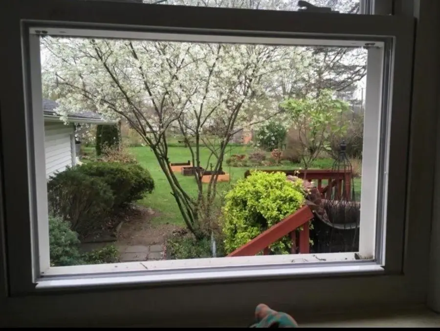 10040 Endicott, Belleville, MI 48111 - #2