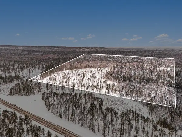 0 VL N Pioneer, Lake City, MI 49651