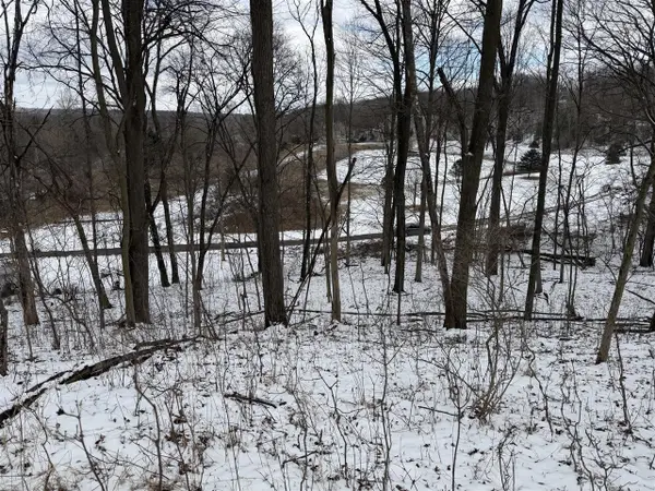 LOT 65 Hosford, Ionia, MI 48846