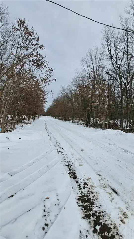 4373 Macdougall, Allegan, MI 49010 - #2