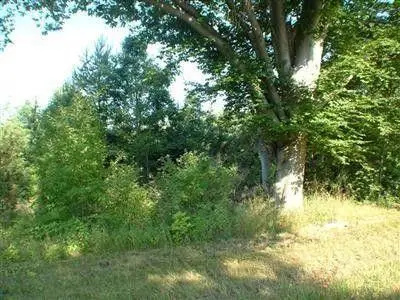 5893 W Austrian Pine, Grant, MI 49327 - #1