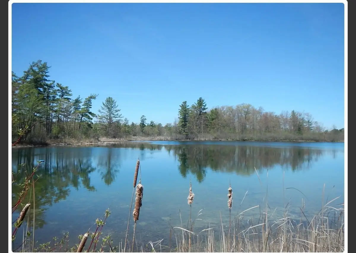 10345 Morgan Mills, Greenville, MI 48838 - #1