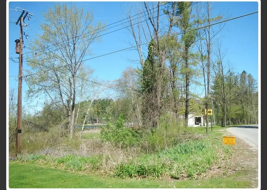 10345 Morgan Mills, Greenville, MI 48838 - #3