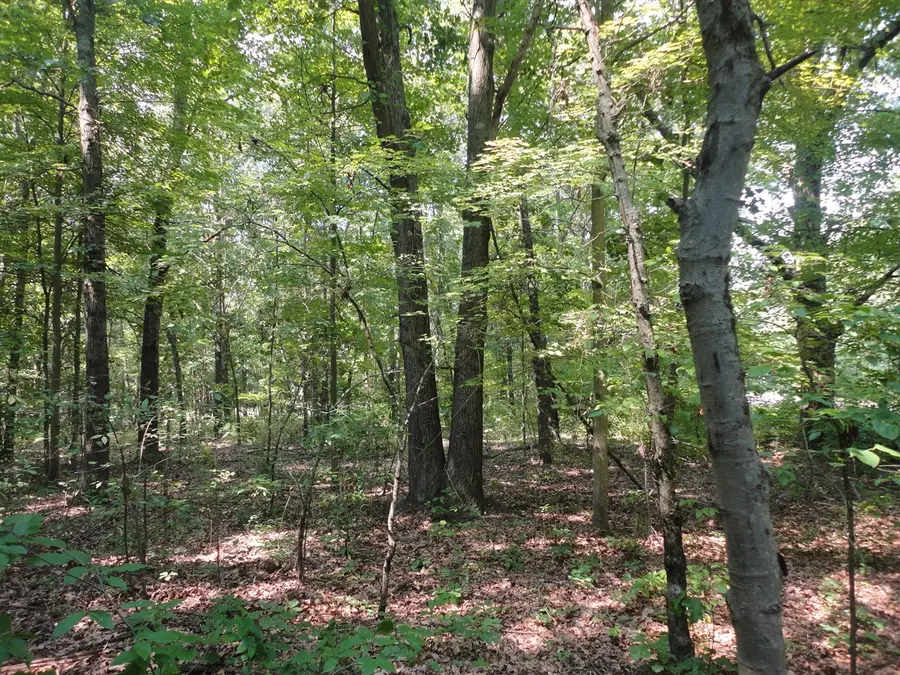 Parcel C 16th, Grand Junction, MI 49056 - #2