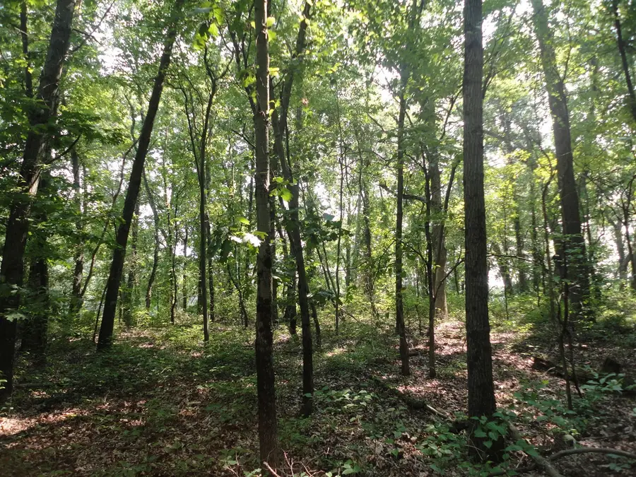 Parcel C 16th, Grand Junction, MI 49056 - #3