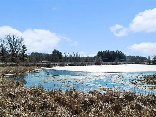 Winter, Albion, MI 49224