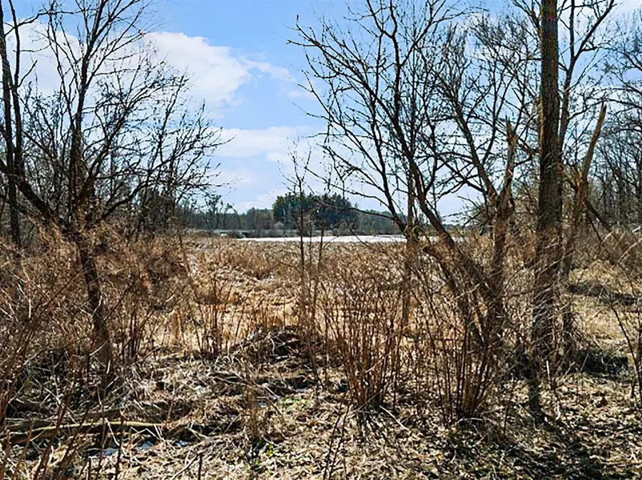 Winter, Albion, MI 49224 - #2