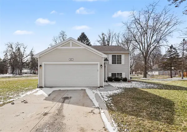 423 E Ellsworth, Bellevue, MI 49021