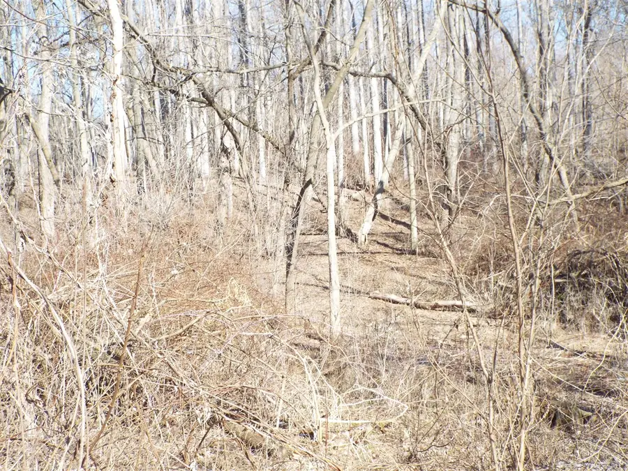 VL Brills Lake, Jackson, MI 49201 - #3