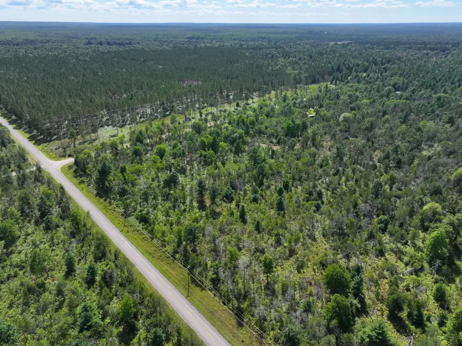 V/L 72nd, Idlewild, MI 49642 - #3