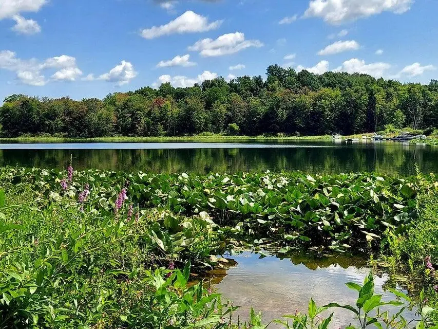 41823 Waukeenah, Paw Paw, MI 49079 - #2