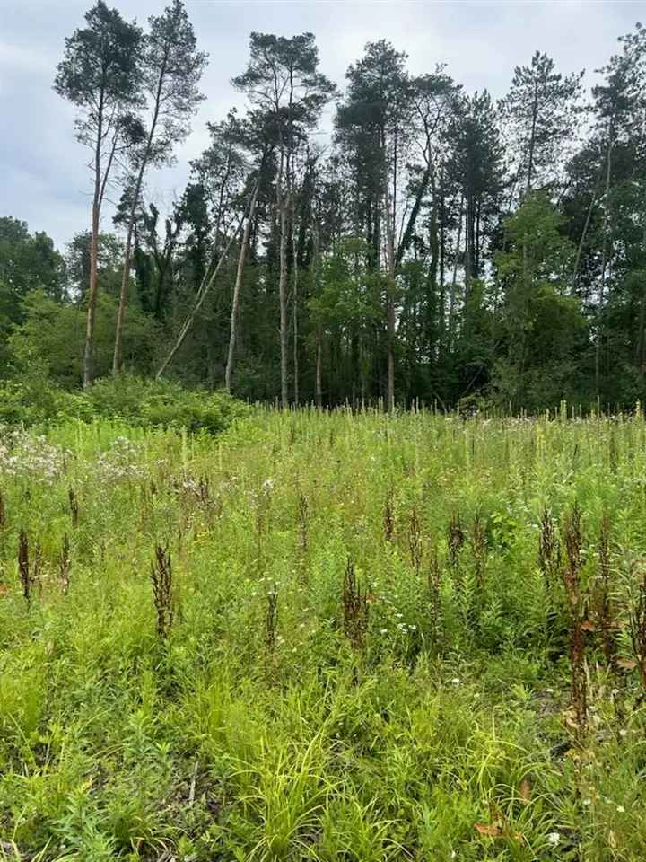 6130 Thornapple River, Alto, MI 49302 - #3