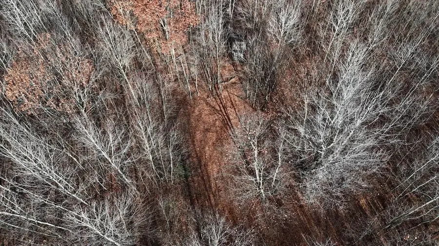 6495 Jackson, Lake, MI 48632 - #2