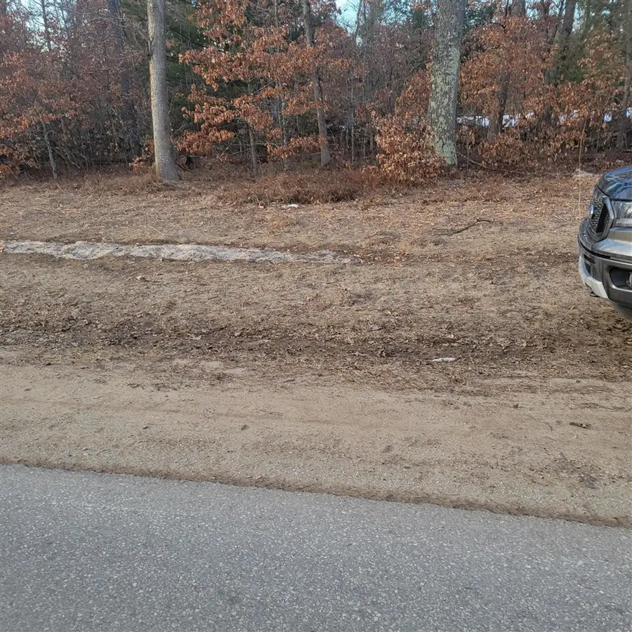 00 S Wilsons Paradise Garden, Idlewild, MI 49642 - #3