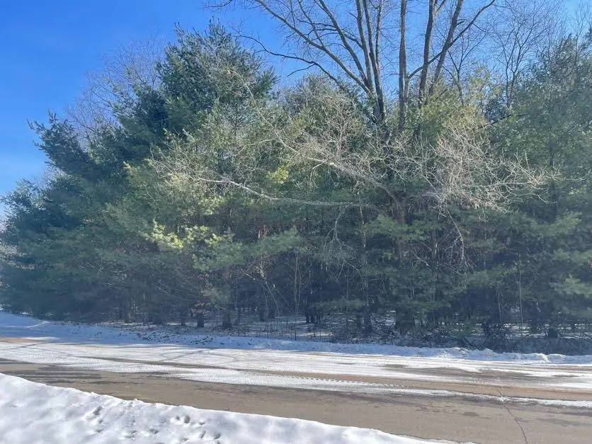 9086 Forest Pines, Mecosta, MI 49332 - #3