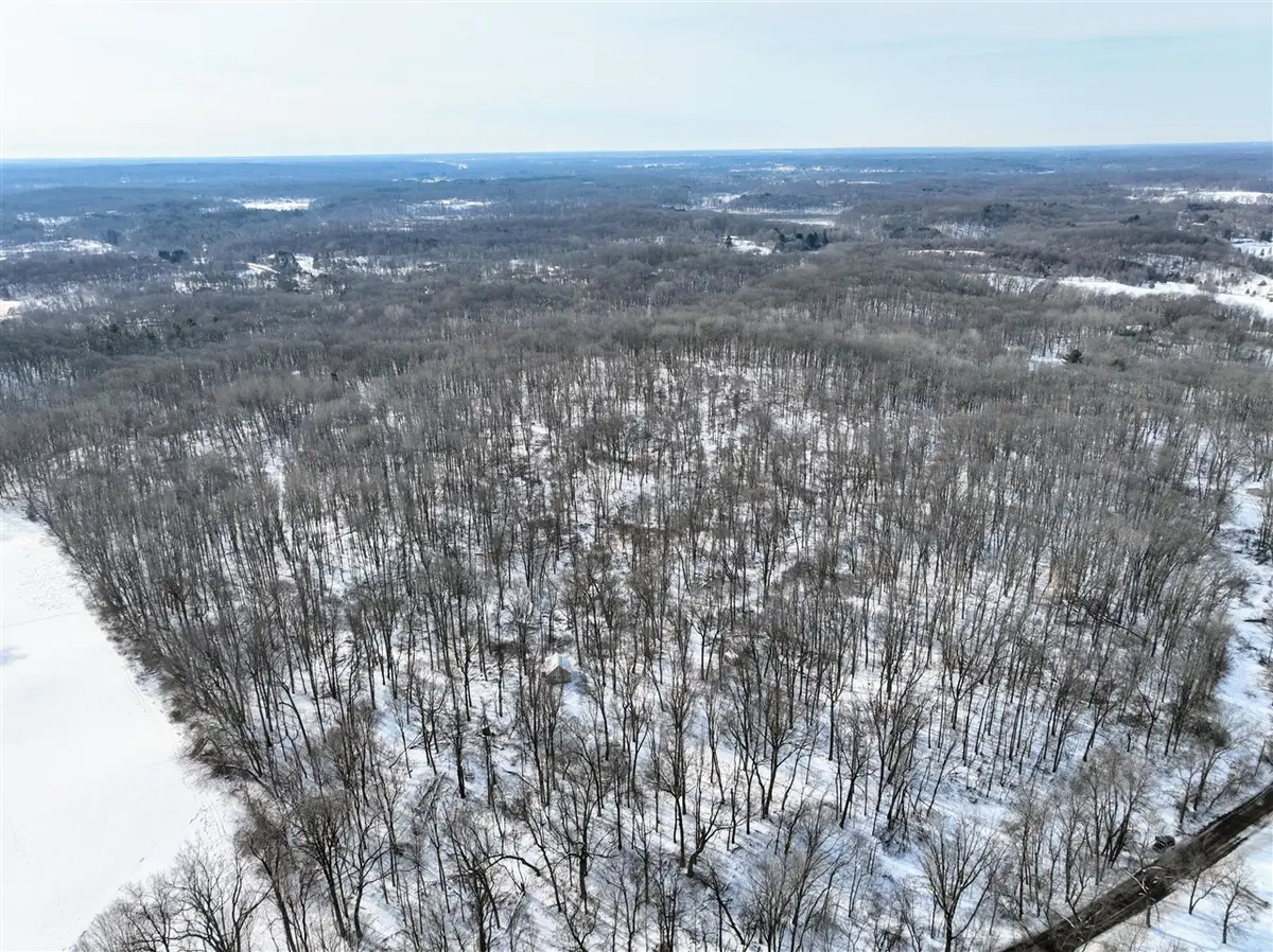 11150 W Drive, Bellevue, MI 49021 - #1