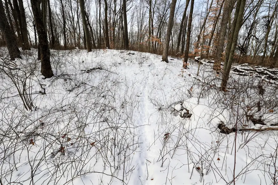 11150 W Drive, Bellevue, MI 49021 - #3