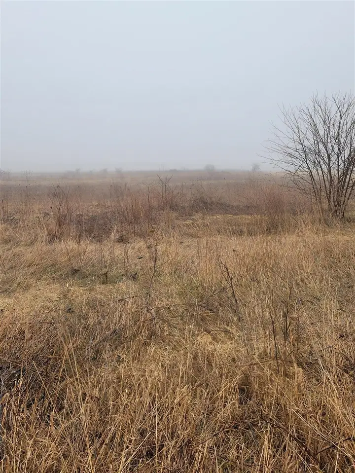 62nd, Fennville, MI 49408 - #1