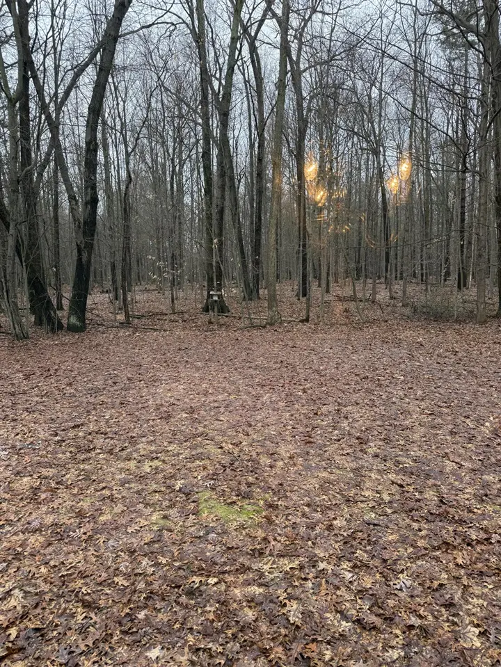 5305 Stanton, Montague, MI 49437 - #3