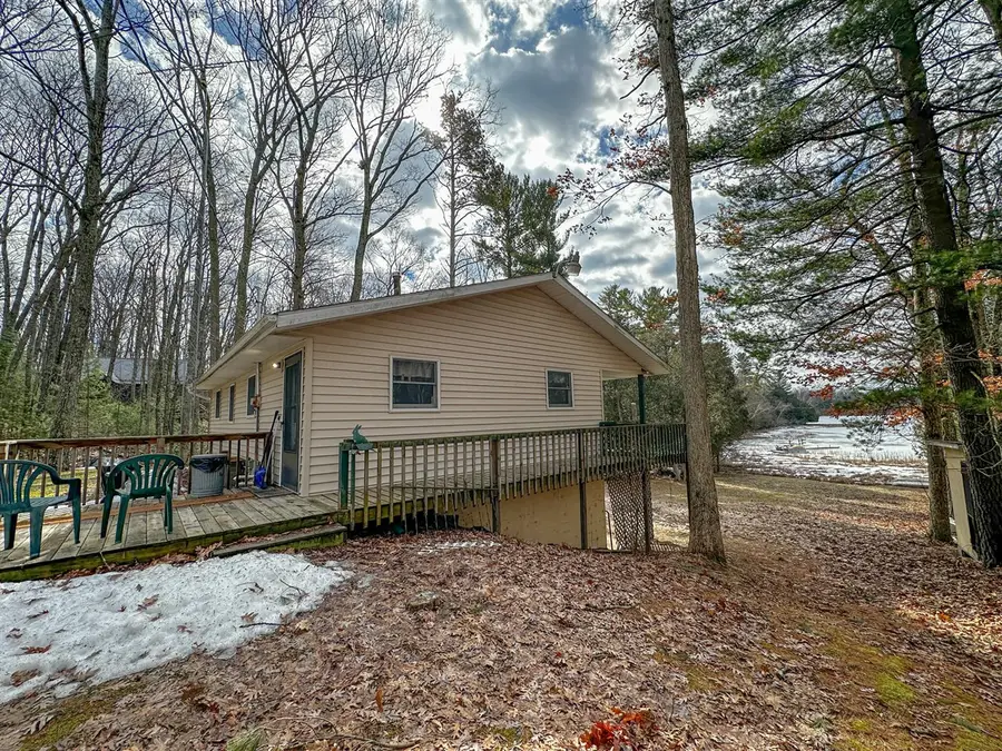 8827 W Elbow, Irons, MI 49644 - #2