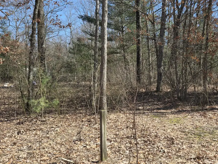 VL Grant, Allegan, MI 49010 - #3