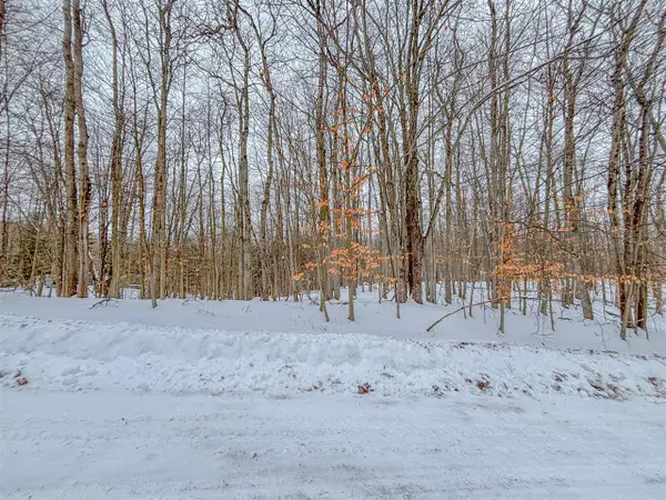 12349 Wagon Wheel, Canadian Lakes, MI 49346