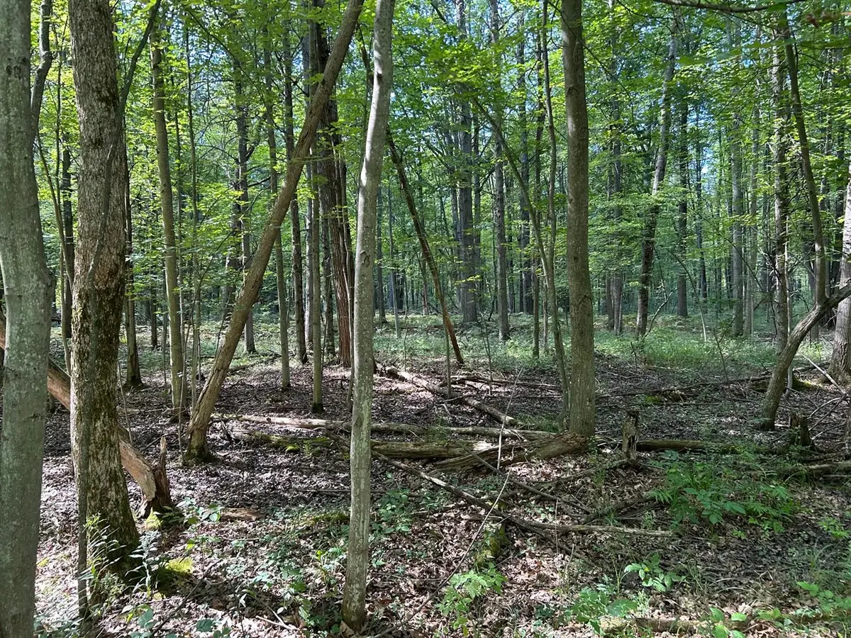 3100 W Isabella, Shepherd, MI 48883 - #1