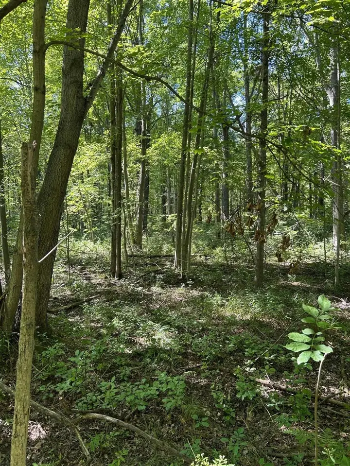 3100 W Isabella, Shepherd, MI 48883 - #2