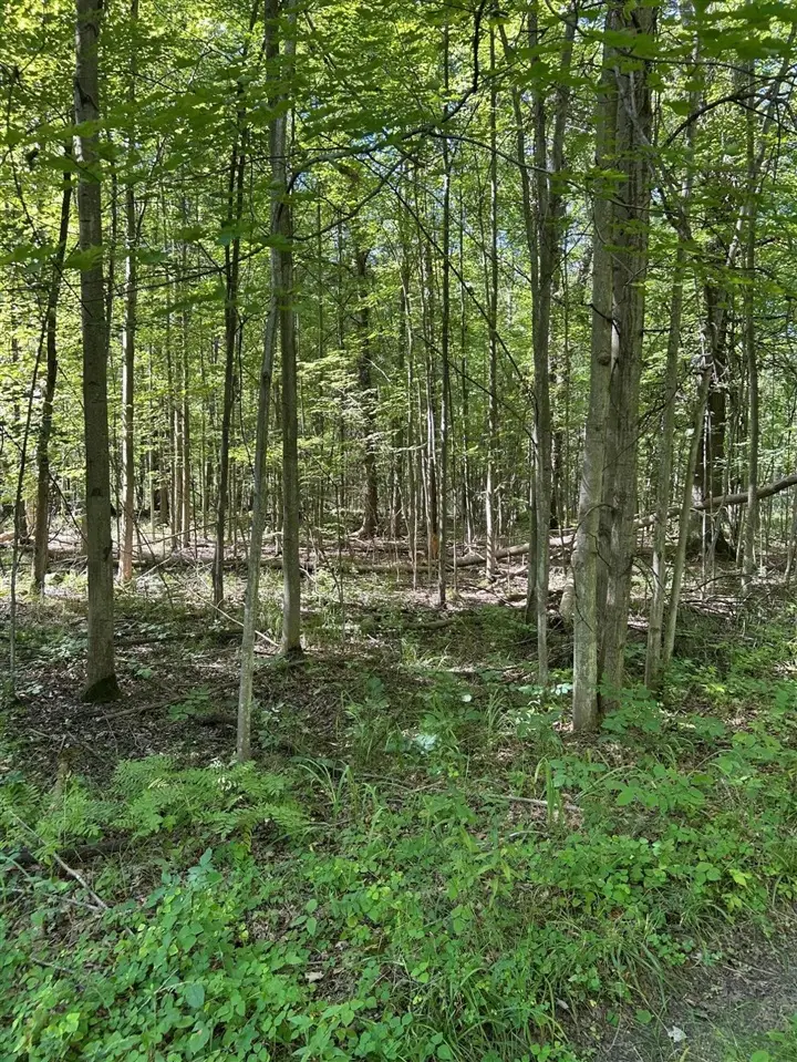 3100 W Isabella, Shepherd, MI 48883 - #3