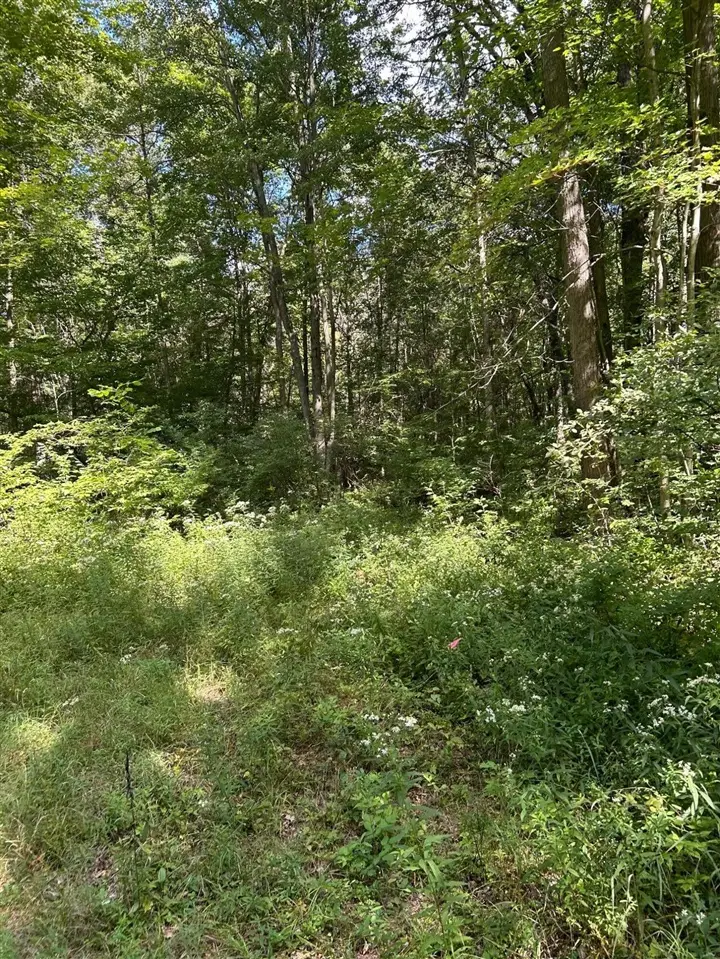 3250 W Isabella, Shepherd, MI 48883 - #2