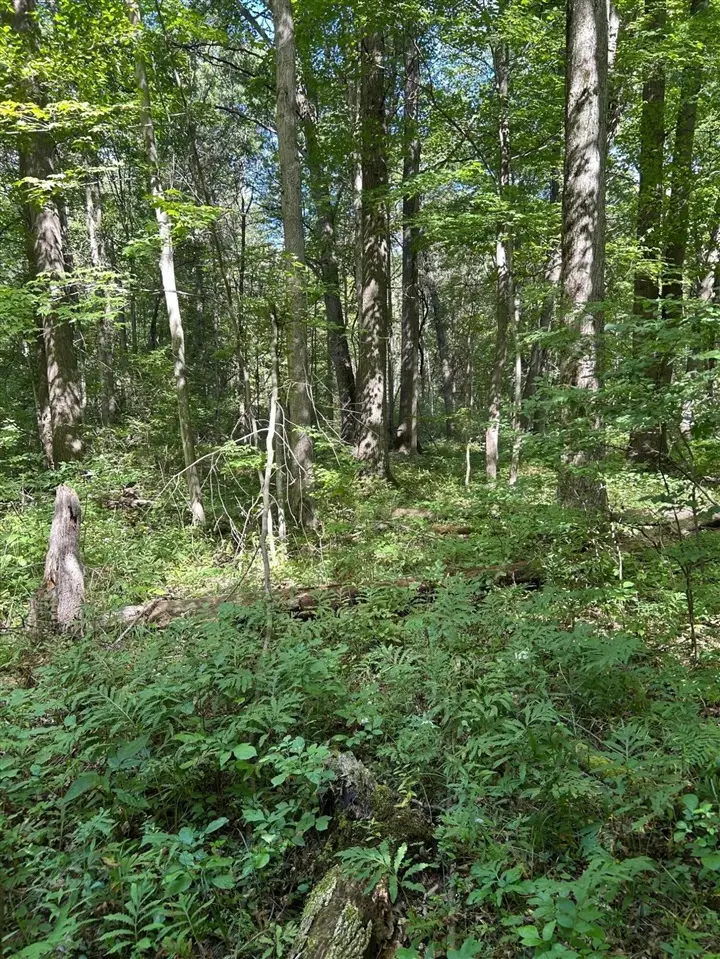 3250 W Isabella, Shepherd, MI 48883 - #3