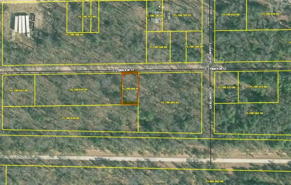 VL E Lynndon, Idlewild, MI 49642 - #1