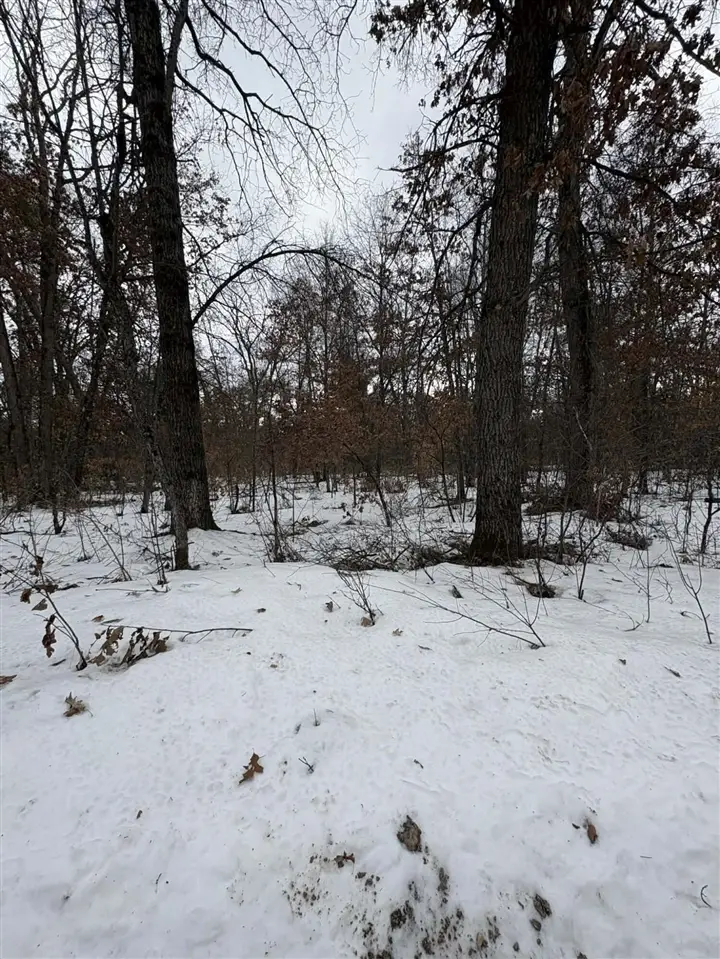 VL E Lynndon, Idlewild, MI 49642 - #3