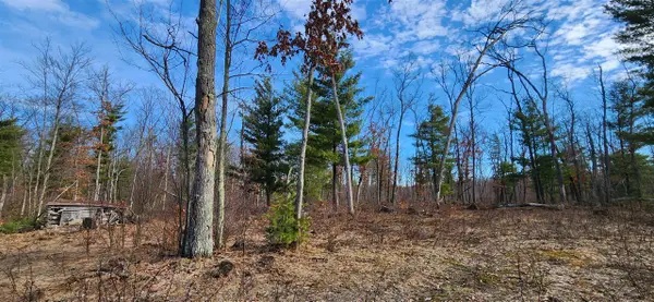 7746 N Woodbridge, White Cloud, MI 49349