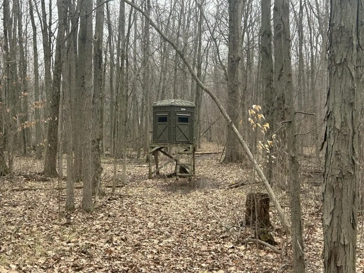 S Pittsford, Pittsford, MI 49271 - #1