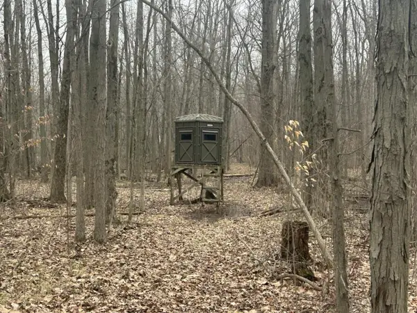 S Pittsford, Pittsford, MI 49271