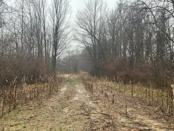 S Hillsdale, Hillsdale, MI 49242