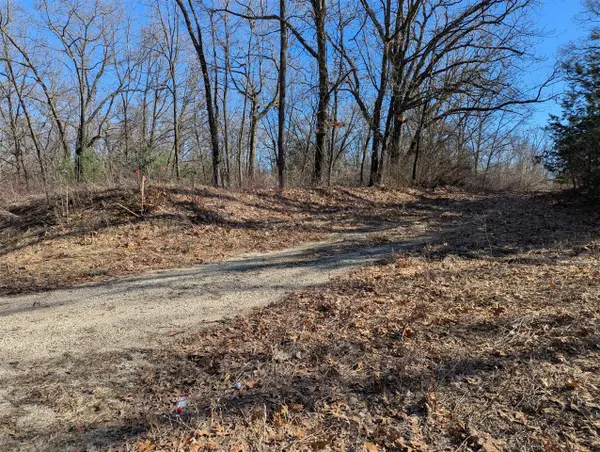 Parcel B E 136th, Sand Lake, MI 49343