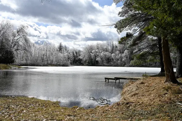 9828 Pontiac, Evart, MI 49631