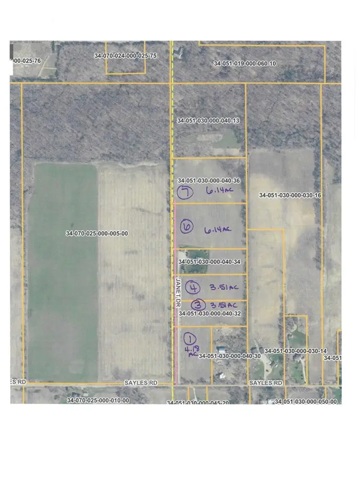 V/L Janet Dr Parcel 1, Saranac, MI 48881 - #1