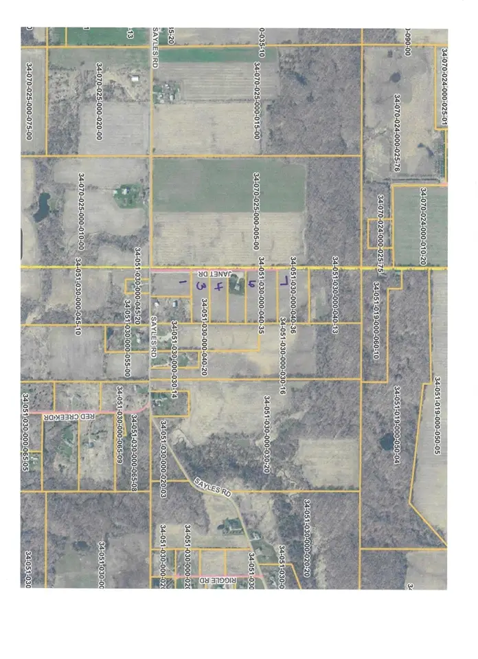 V/L Janet Dr Parcel 3, Saranac, MI 48881 - #2