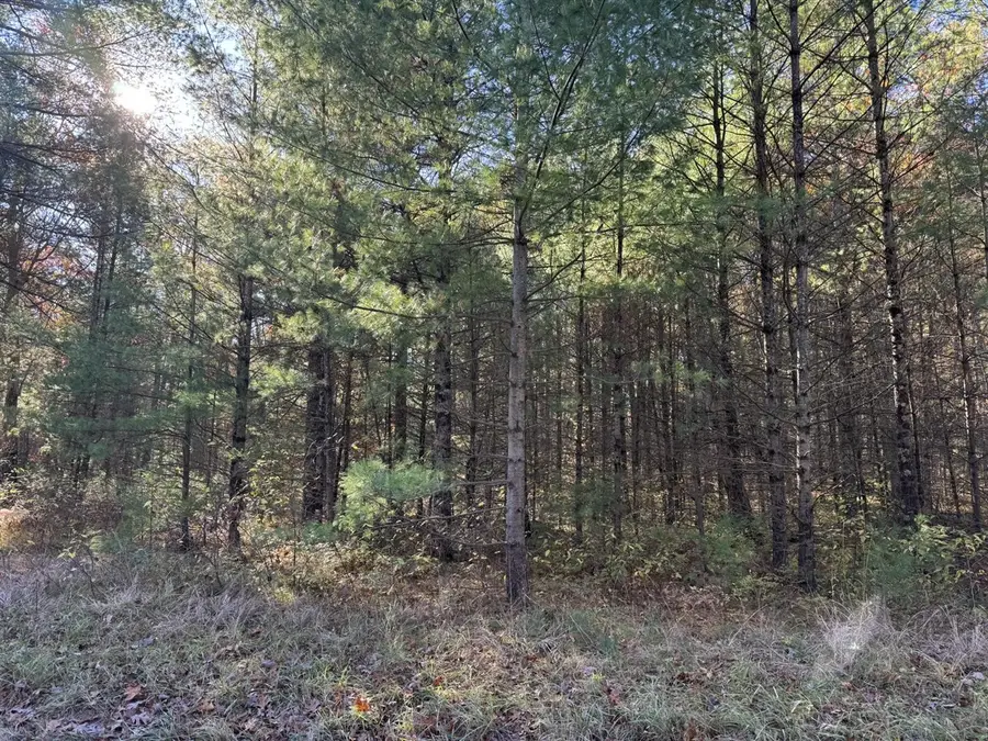Parcel 1 County Line, Free Soil, MI 49411 - #3