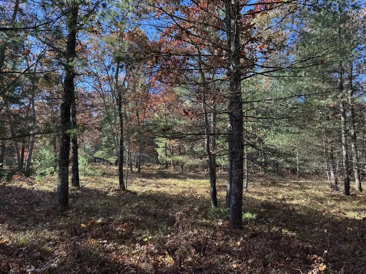 Parcel 3 County Line, Free Soil, MI 49411 - #1