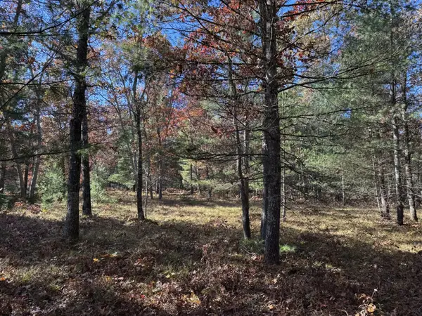 Parcel 3 County Line, Free Soil, MI 49411