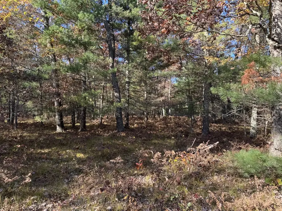 Parcel 3 County Line, Free Soil, MI 49411 - #3