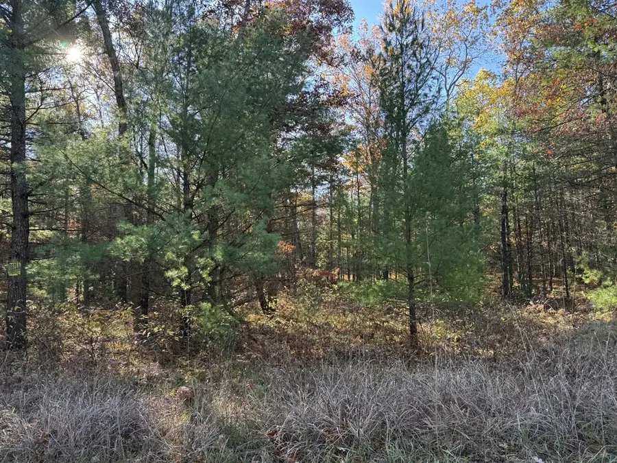 Parcel 2 County Line, Free Soil, MI 49411 - #3