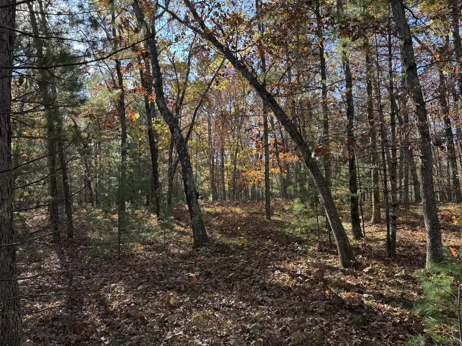 Parcel 5 County Line, Free Soil, MI 49411 - #3